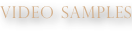 shapeimage_9_link_0